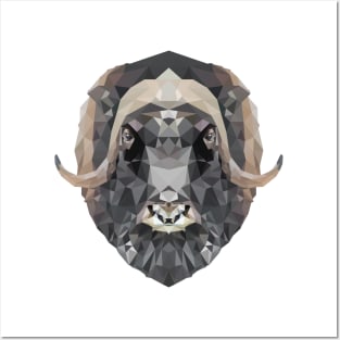 Muskox Posters and Art